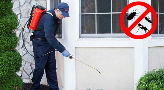 Yahşihan Haşere İlaçlama böcek ilaçlama ve haşere kontrolü — ilaclama-tr.com
